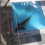 Tour_d_SoCal2_0016 (September 11, 2015)